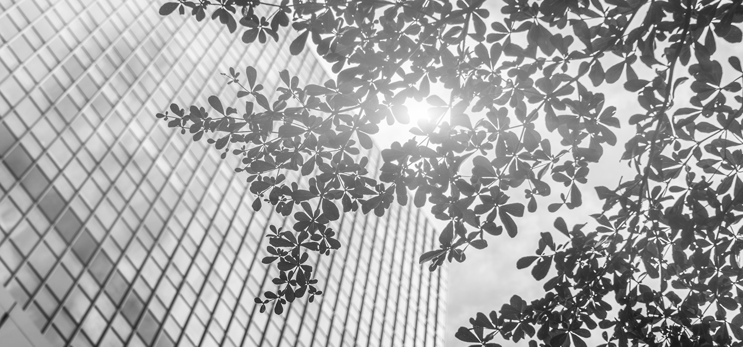 Bewusst wählen heißt, sich wirklich zuhause zu fühlen Bewusst wählen heißt, sich wirklich zuhause zu fühlen